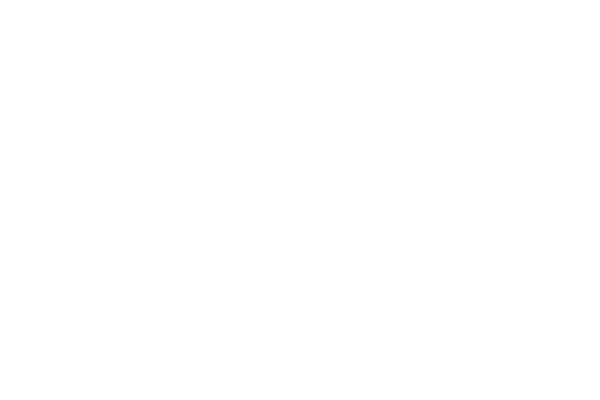 29 Eleven